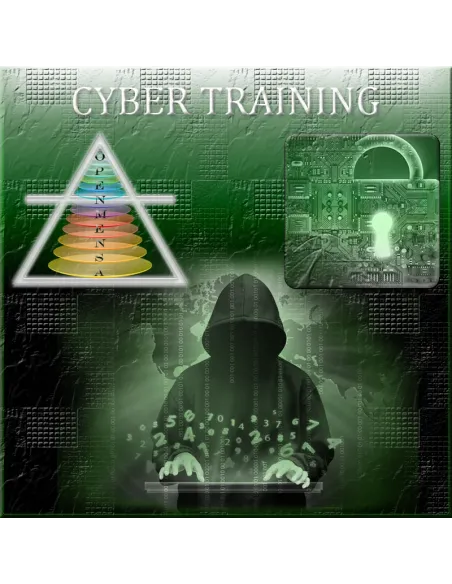 formation cyber niveau 1